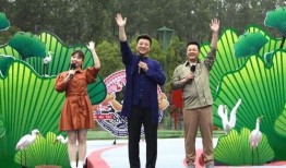 盈江新闻爆料视频最新一期,揭秘神秘事件背后的真相