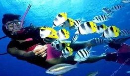 海底世界cf最新爆料是什么